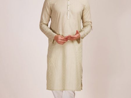 Manyavar Men Ethnic Motifs Pure Cotton Kurta with Churidar For Sale