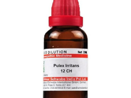 Dr. Willmar Schwabe India Pulex Irritans Dilution For Sale