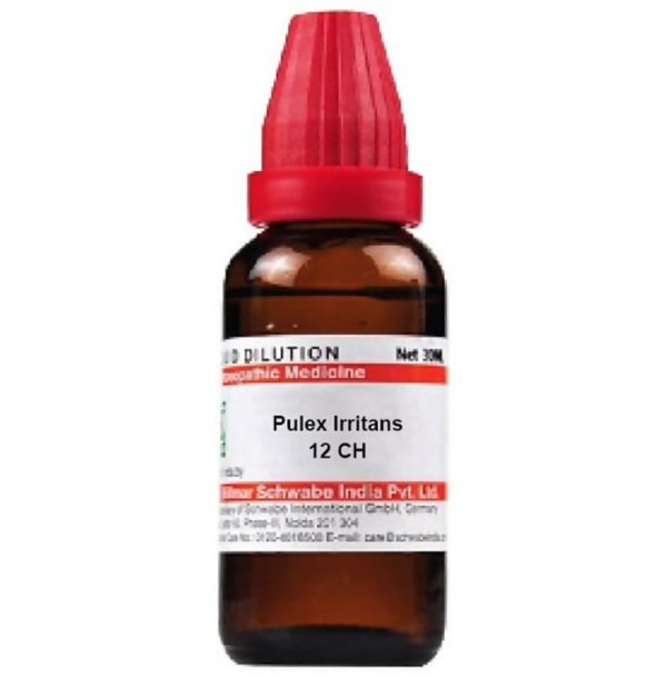 Dr. Willmar Schwabe India Pulex Irritans Dilution For Sale